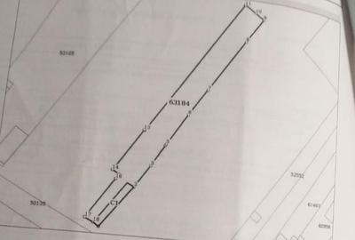 Teren Construcții intravilan de 1174 mp, în Alunișu - 1