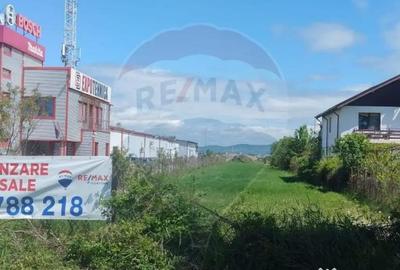 Teren de 4340 mp, în Albert - 5