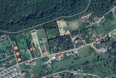 Teren intravilan 5.000 mp Cisnadioara / jud. Siibu - 2