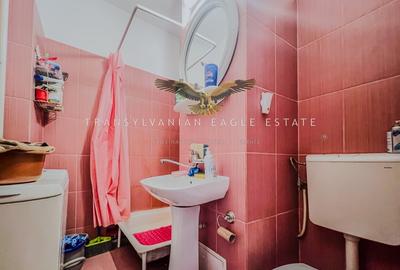 Studio situat in proximitatea FSEGA/Iulius Mall - 6