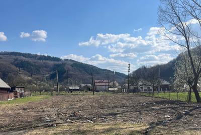 Spațiu comercial, în Vișeu de Jos - 5