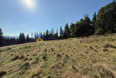 Teren de vanzare 5000 mp Piatra Neam? - 5