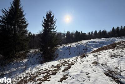 Teren de 21053 mp, în Vama - 10