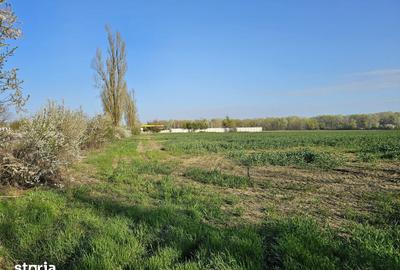 Teren de 10100 mp, în Gorgota - 13