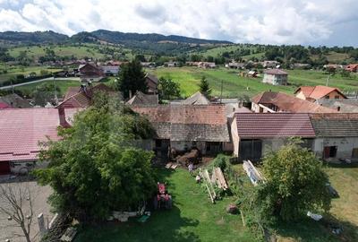 Doua case + anexa, teren 1655mp, Vama Buzaului (Acris) - 12