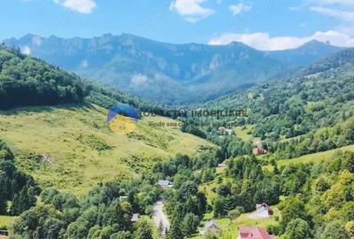 TEREN Izvoru Muntelui, langa orasul BICAZ - 5