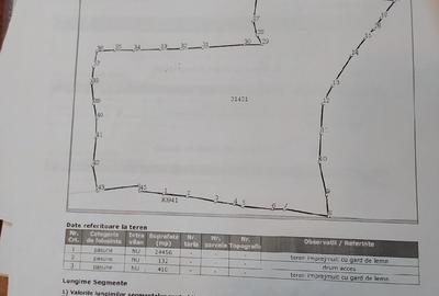 Teren de 25000 mp, în Plai - 3