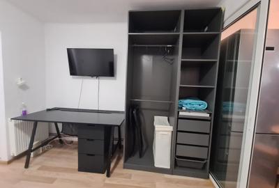 Garsonieră semidecomandată în Costin Georgian - 4