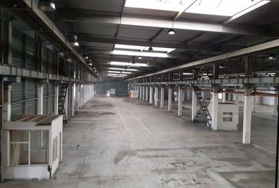 Spațiu comercial, de 20,000 mp, în Timișoara - 20