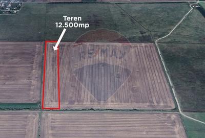 Teren 12.500 mp/Extravilan/ Dumbrava-Prahova - 1