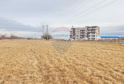 Teren agricol extravilan de 11600 mp, în Cristian - 8