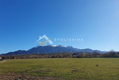 Teren Construcții intravilan de 10600 mp, în Bran - 2