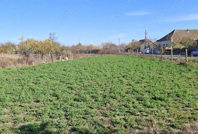 Casă cu 3 camere cu Teren 1094 Mp în Central - 1