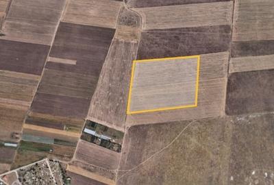 Teren extravilan 1000 mp la limita teritoriala Agigea -Techirghiol - 2