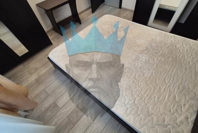 Apartament cu 2 camere decomandat, mobilat în Roșu - 13