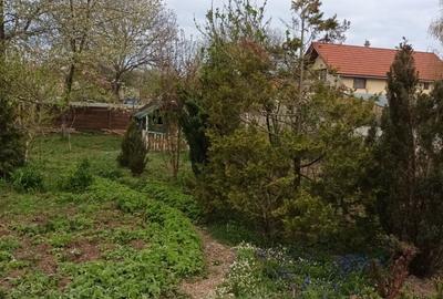 Casă cu 3 camere în Central