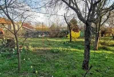 Casa batraneasca si teren 1000 mp langa Bucuresti - 2