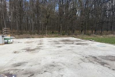 Teren de 9850 mp, în Mitocu Dragomirnei - 4