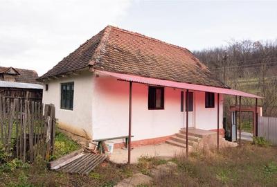 RECO Casa de vacanta la Holod- langa padure- teren 2190mp - 16