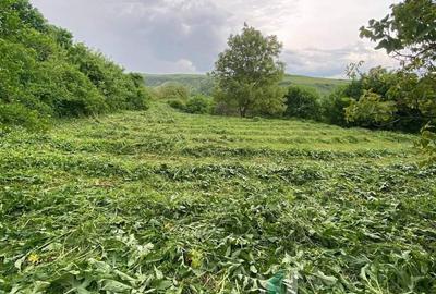 Teren de 2200 mp, în Baciu