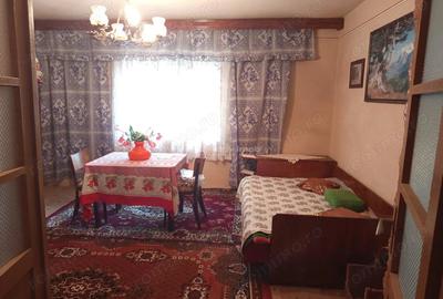 Casă cu Teren 1439 Mp în Brădișoru de Jos - 10