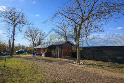 Casă individuală cu 3 camere cu Canalizare în Poienarii Burchii - 17