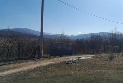 Spațiu comercial, în Central - 2