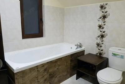 Casă cu 7 camere în Făget - 10