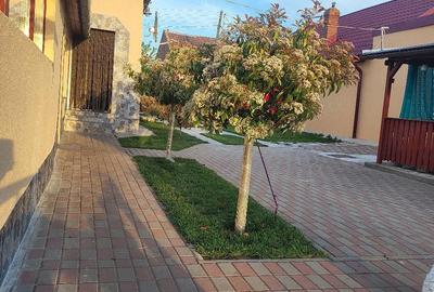 Casă cu 3 camere cu Teren 1400 Mp în Central - 2