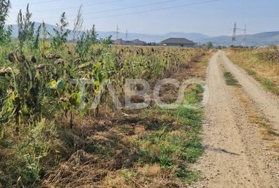 Teren intravilan de vanzare in Sebes drumul Petrestiului - 2