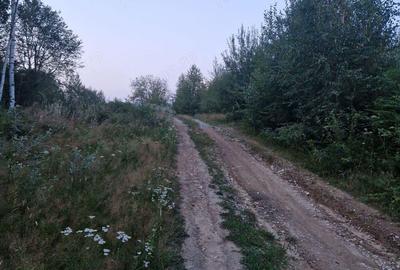 Teren de vanzare la Valiug 1000-3000mp ID 1218 - 5