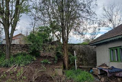 Casă cu Teren 2000 Mp în Cerchezu - 2
