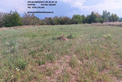 Teren intravilan Piatra Neamt - 4