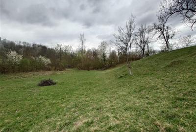 Teren intravilan de 9370 mp, în Țebea - 4