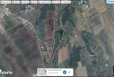 Teren de 24200 mp, în Muntenii de Jos - 6