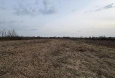 Teren în Merișor - 2