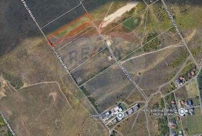 DE VANZARE Teren 5,000mp Sisesti Drumul Piscul Mosului - 2