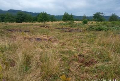 Teren de 5000 mp, în Vicovu de Sus - 6