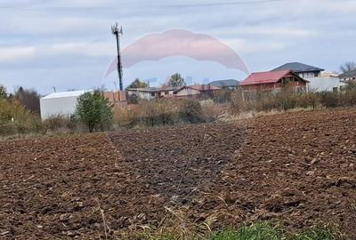 Vanzare teren intravilan construibil Corbeanca, Ostratu, ... - 5