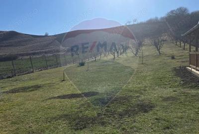 Teren de 2900 mp, în Păucea - 3