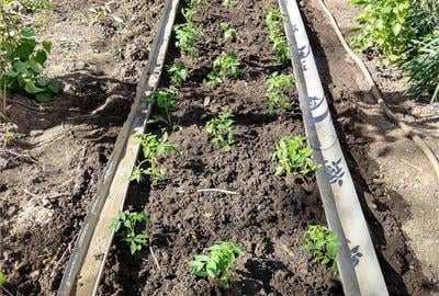 Casă cu 2 camere în Corbii Mari - 5