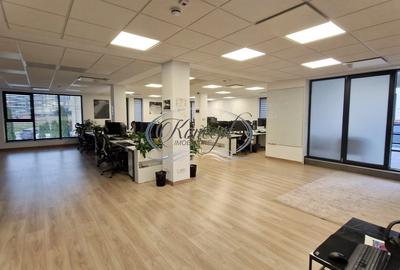 Spatiu de birouri in vila, cartierul Europa - 2