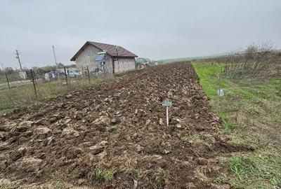 Teren intravilan ,1500mp-Strada Fagului .1Decembrie ideal Rezidențial ,dublă des - 2