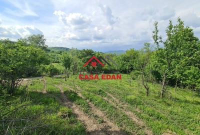 Teren Construcții intravilan de 1954 mp, în Câmpina - 2