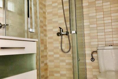 Garsoniera de inchiriat in zona Mosilor - 2