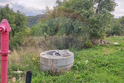 Teren de 3082 mp, în Damiș - 13