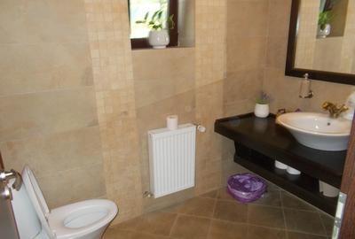 Vila P+M, Sag, 4 camere, 260mp util, 750mp teren, mobilat, utilat - 3