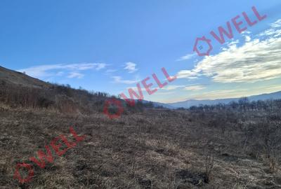 Teren Construcții extravilan de 2700 mp, în Fântânele - 3