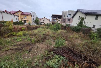 Nicolae Grigorescu, chiar la pasajul peste Splaiul Unirii, in planul 2 - 1