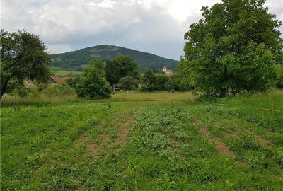 Casă în Comana - 2